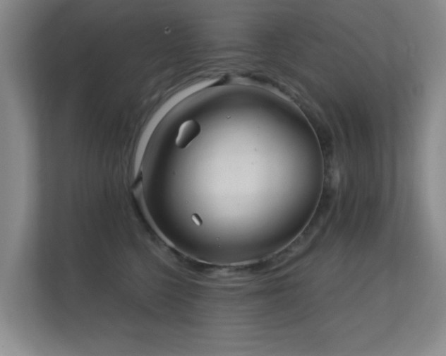 X0000112160568200908141237