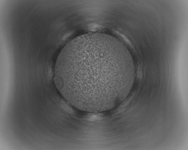 X0000112160569200908141237