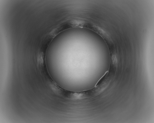 X0000112160570200908141237