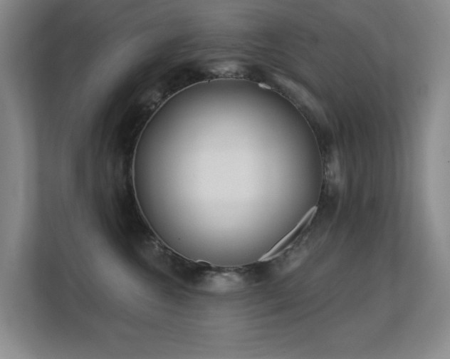 X0000112160572200908141237