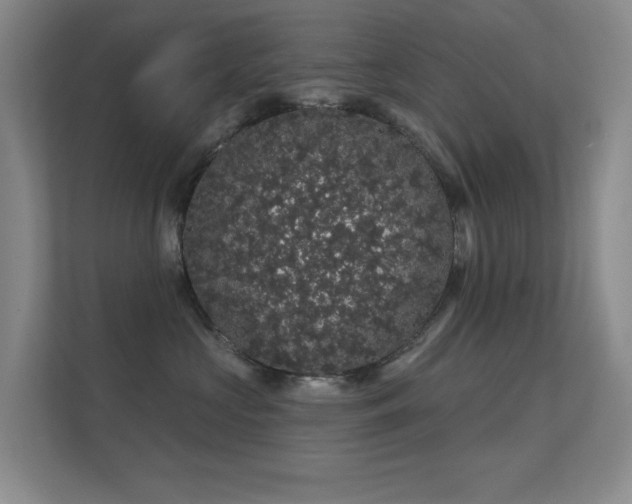 X0000112160573200908141237