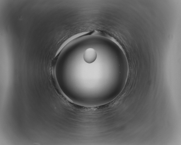 X0000112160576200908141237