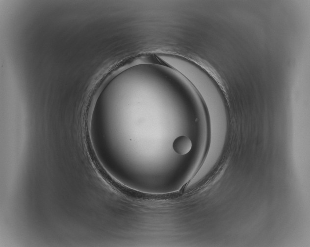 X0000112160577200908141236