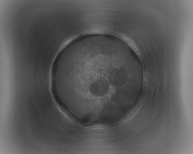 X0000112160578200908141236