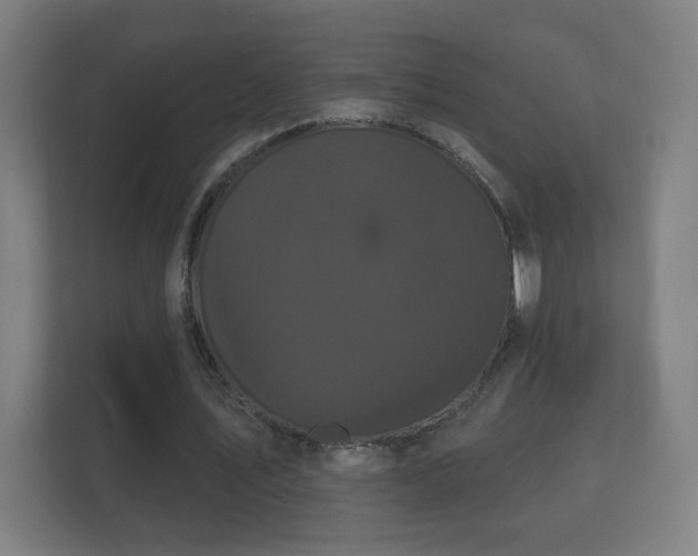 X0000112160579200908141236