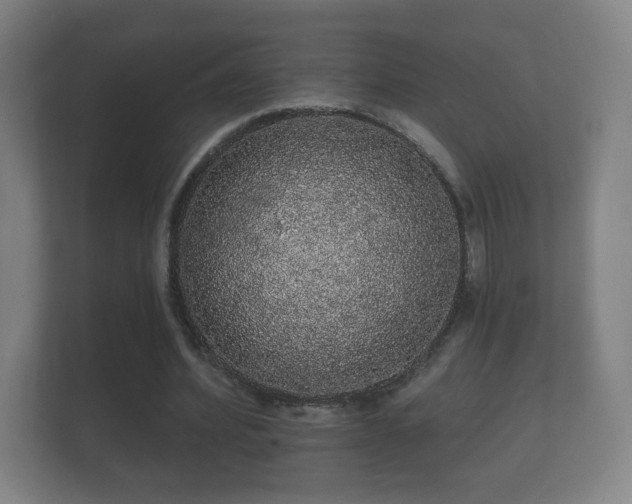 X0000112160580200908141236