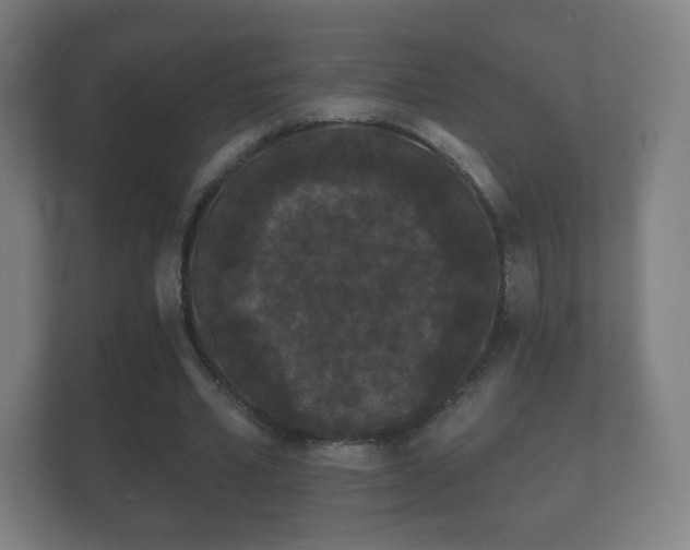 X0000112160581200908141236
