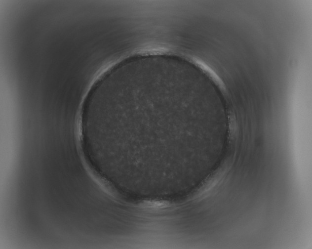 X0000112160582200908141236