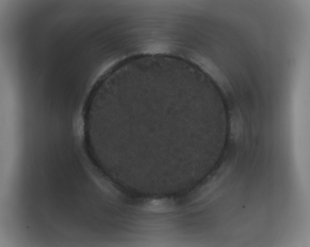 X0000112160584200908141236