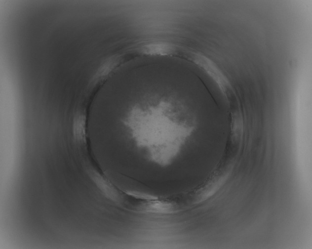 X0000112160585200908141236