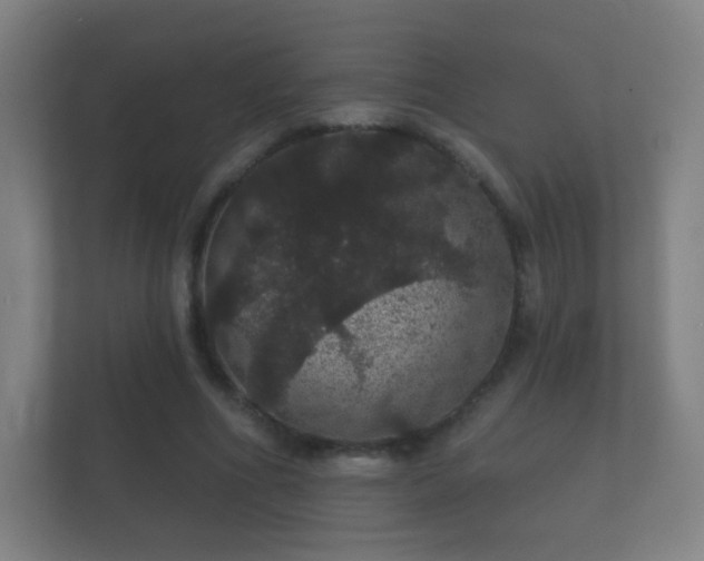 X0000112160586200908141236