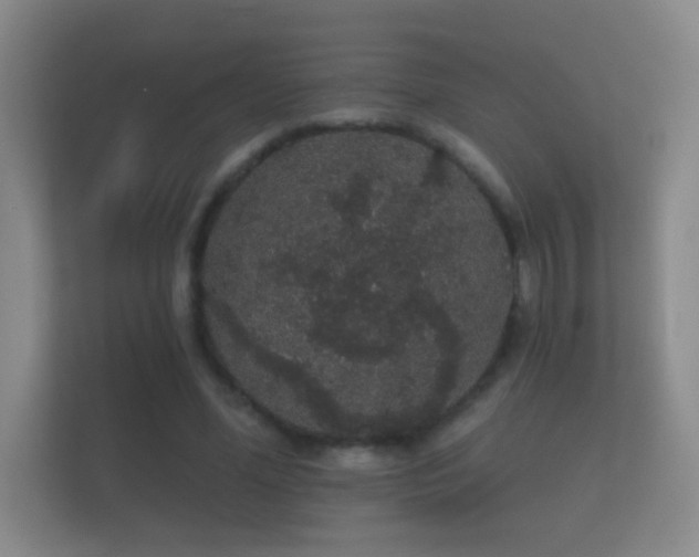 X0000112160588200908141236