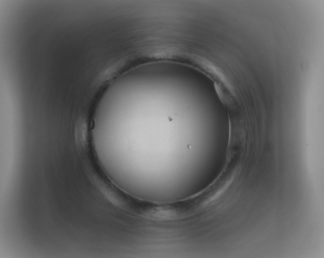 X0000112160589200908141236