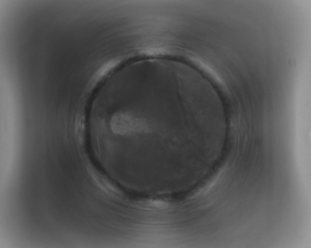X0000112160592200908141236