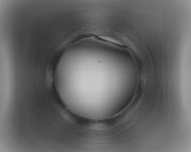 X0000112160593200908141236