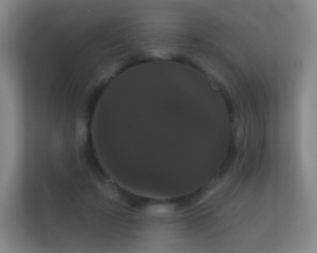 X0000112160595200908141236