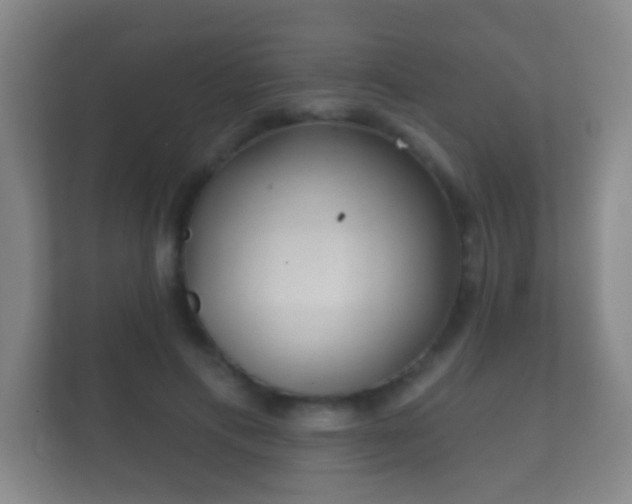 X0000112160597200908141236