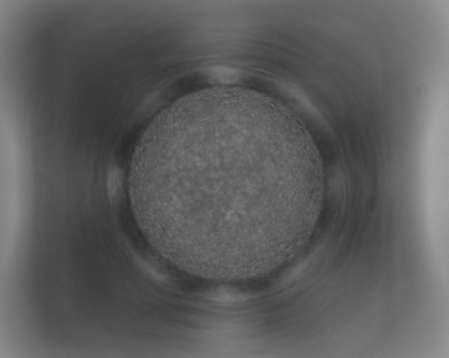 X0000112160598200908141236