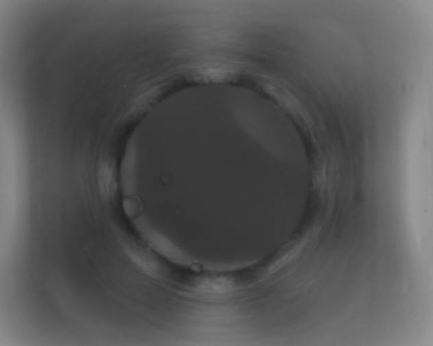 X0000112160599200908141236