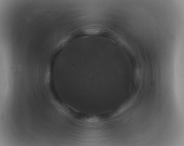 X0000112160600200908141236
