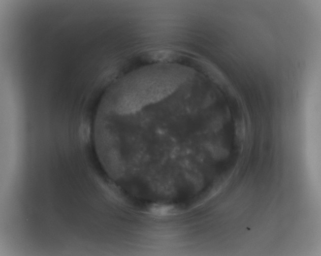 X0000112160602200908141236