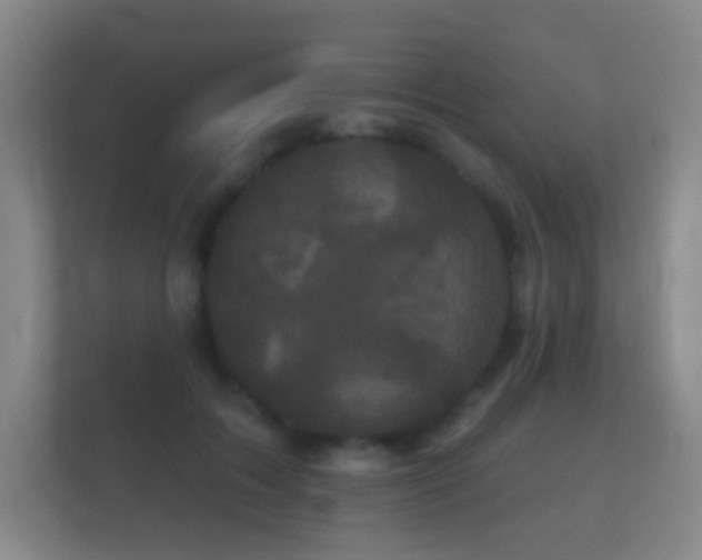 X0000112160603200908141236