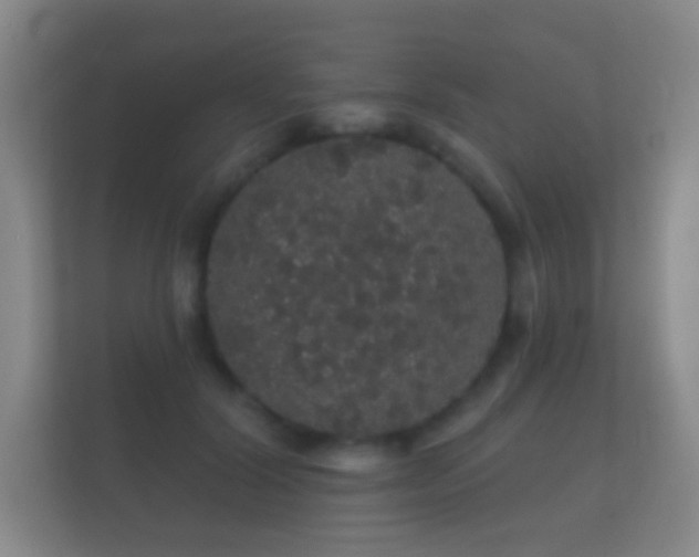 X0000112160604200908141236