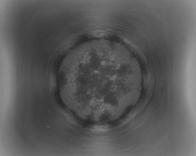 X0000112160606200908141236