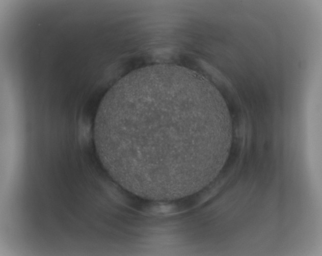 X0000112160610200908141236