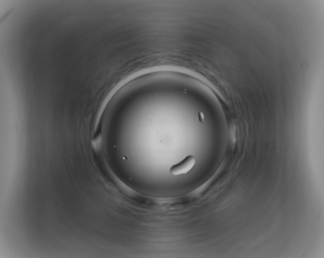 X0000112160613200908141236