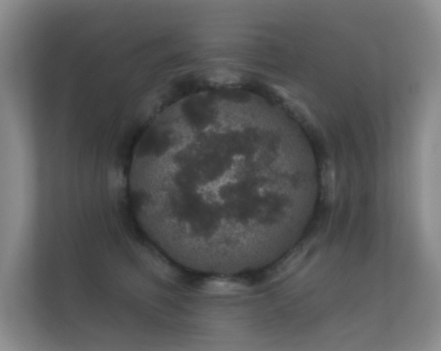 X0000112160614200908141236