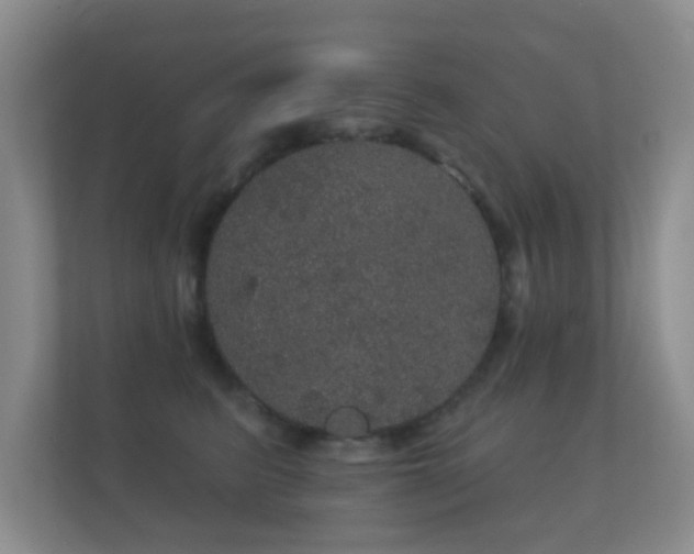 X0000112160615200908141236