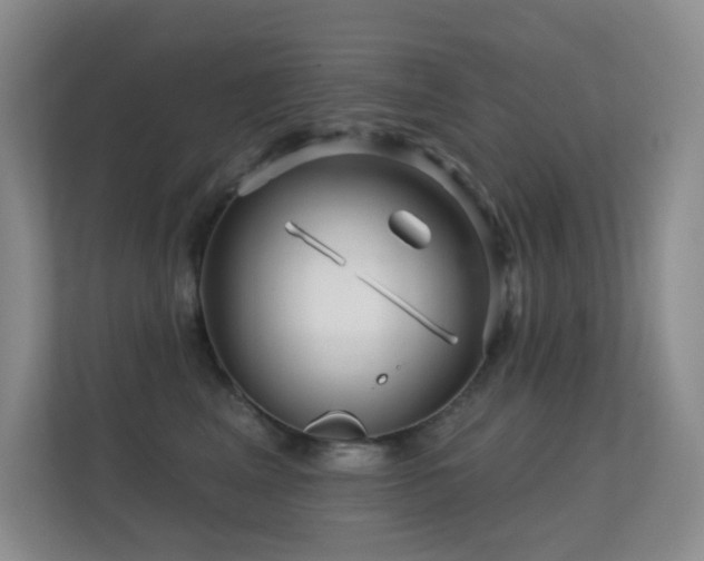X0000112160617200908141236