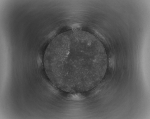 X0000112160618200908141236