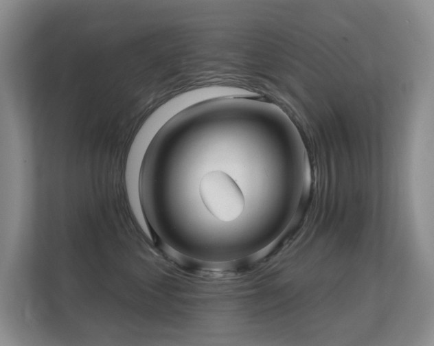 X0000112160621200908141236