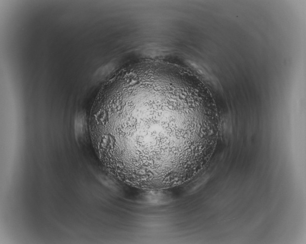 X0000112160623200908141236