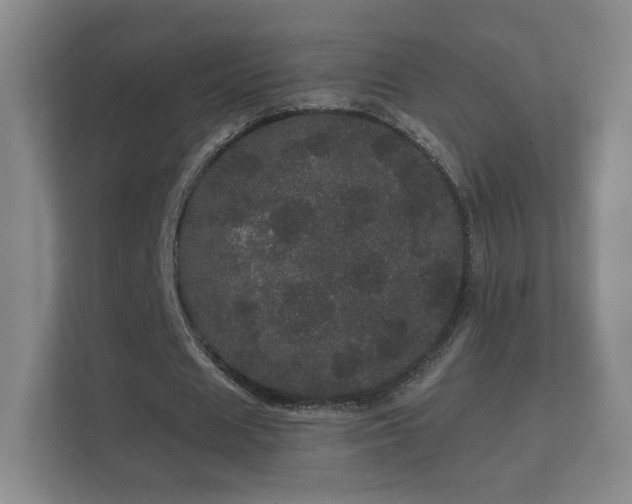 X0000112160625200908141235