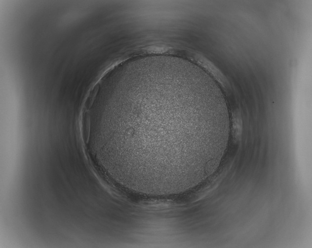 X0000112160626200908141235