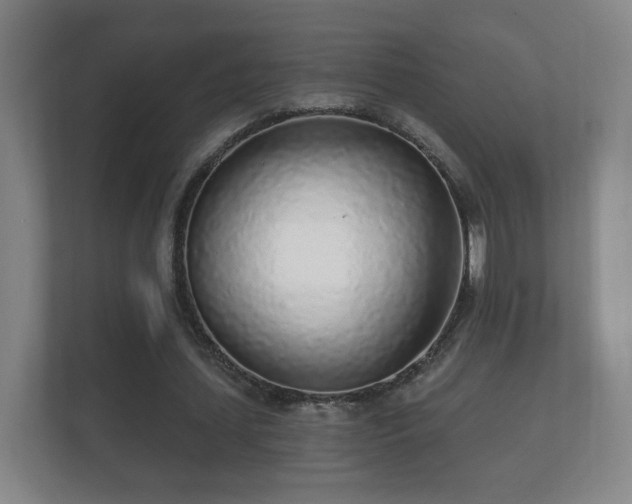 X0000112160627200908141235