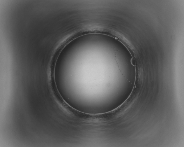 X0000112160629200908141235