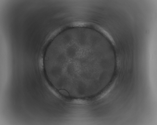 X0000112160633200908141235