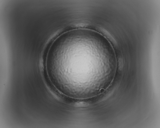 X0000112160634200908141235