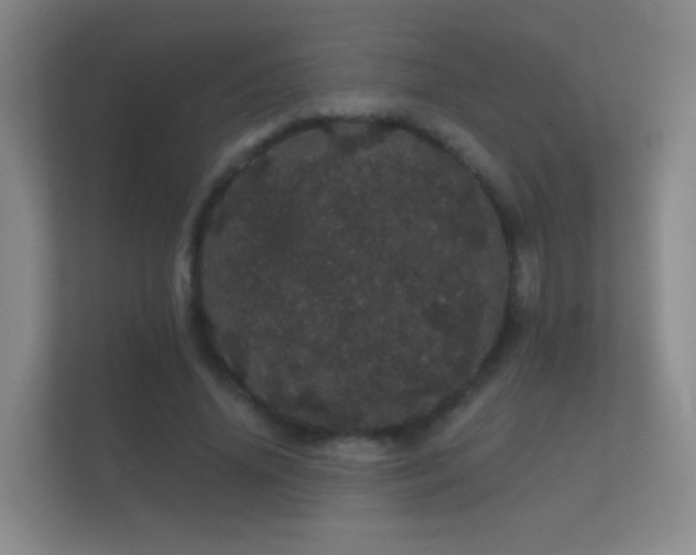 X0000112160636200908141235