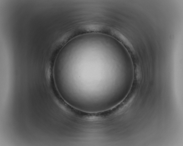 X0000112160637200908141235