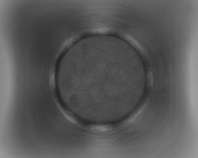 X0000112160638200908141235