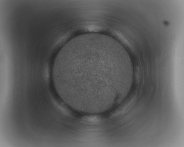 X0000112160639200908141235