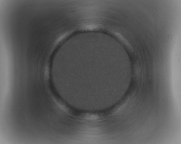 X0000112160640200908141235
