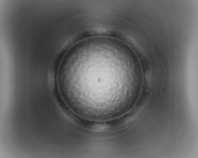 X0000112160642200908141235