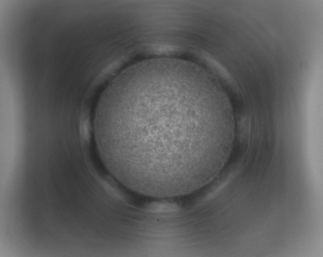 X0000112160644200908141235