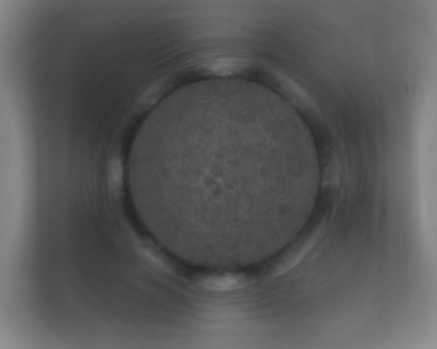X0000112160646200908141235
